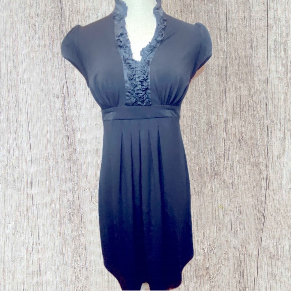 A Pea in the Pod Maternity Dress